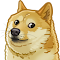 so wow doge