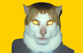 YouTube Monday Catify