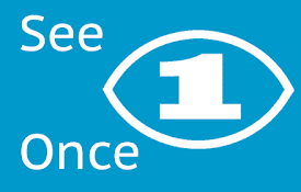 SeeOnce Privacy