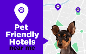 我附近的宠物友好酒店 - Pet Friendly Hotels Near Me