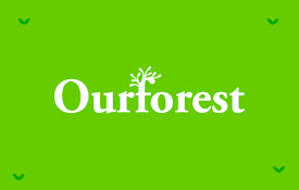 Our Forest — Plant trees with your browser