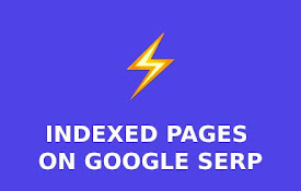 Show number of results and indexed pages on Google SERP (for SEO)