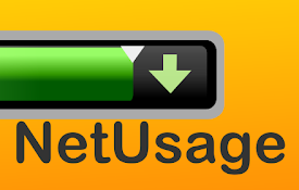 Net Usage Item