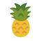 Plugin Icon
