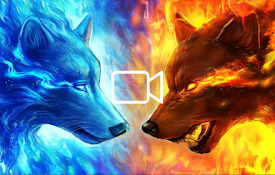 Water And Fire Wolf Live Wallpaper Animation