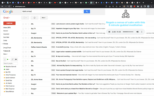 Plugin Screenshot