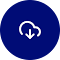 Plugin Icon