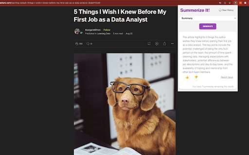 Plugin Screenshot