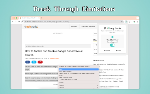 Plugin Screenshot