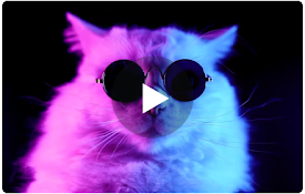 Jazzy Cat Live Wallpaper New Tab
