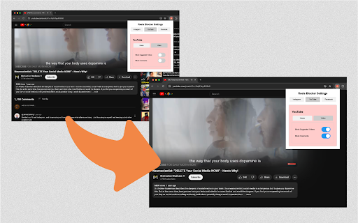 Plugin Screenshot