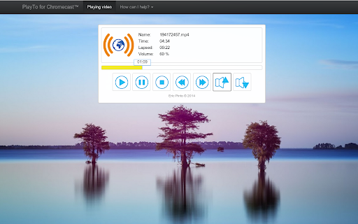 Plugin Screenshot