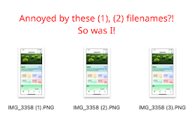 Avoid Duplicate Downloads