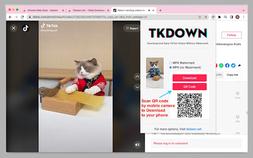 Plugin Screenshot