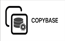 Copy Text