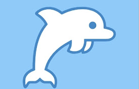 Flipper