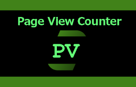 Page View Counter