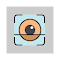 Plugin Icon