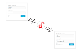 Show Passwords