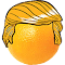 Trump Replace