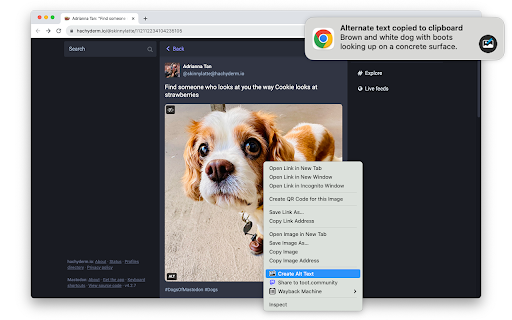Plugin Screenshot