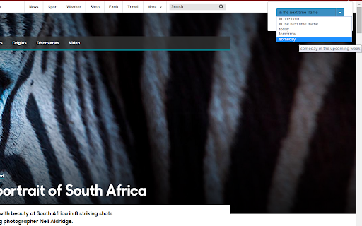 Plugin Screenshot