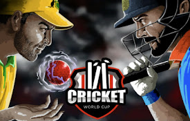 Cricket World Cup : Baseball Game