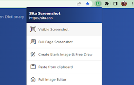 网页截图 - Screenshot Extension