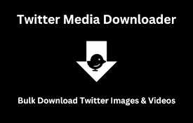 Twitter 媒体下载器 - Twitter 图片和视频下载器