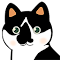 Plugin Icon