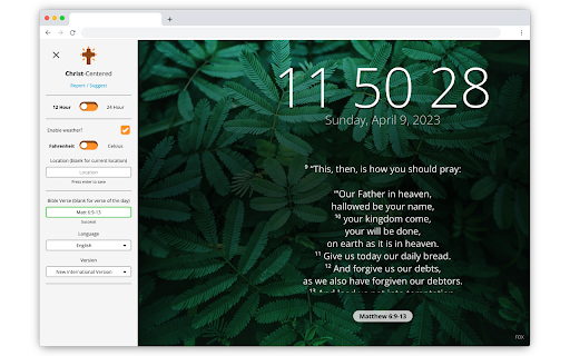 Plugin Screenshot