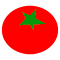 Plugin Icon