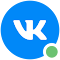 VK Online Check