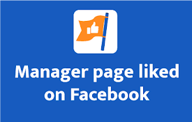 Manager page liked on Facebook