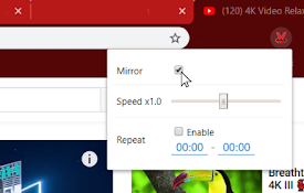 MirrorTube