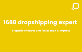 1688 dropshipping pro