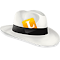 Plugin Icon