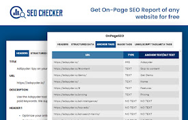 SEO Checker