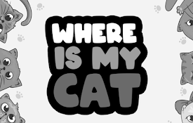 Where is My Cat Game