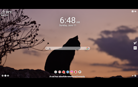 Cats Meavana