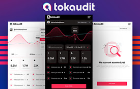 TOKaudit: TikTok Sorting &amp; Analytics Toolkit