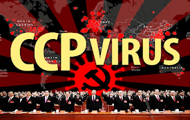 CCP Virus 19