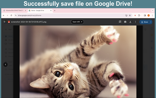 Plugin Screenshot