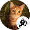 Plugin Icon