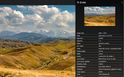 Plugin Screenshot