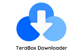 2025 ▷ TeraBox 链接视频下载器 [无应用程序]