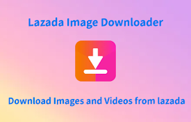 Lazada Image Downloader - include videos