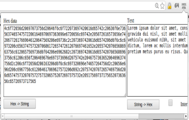 HexString Converter