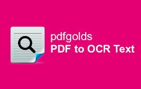 PDF to OCR Text Converter