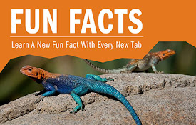 FunFacts